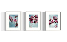 Load image into Gallery viewer, Triptych of abstract floral paintings with pink blossoms and blue backgrounds, acrylic on paper, framed and ready for modern interiors.
