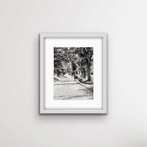Roads of luxembourg limited edition fine art print - home wall decor framed